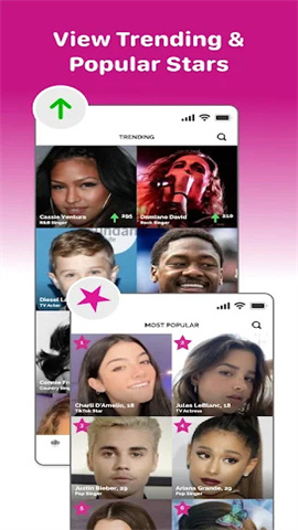 screen